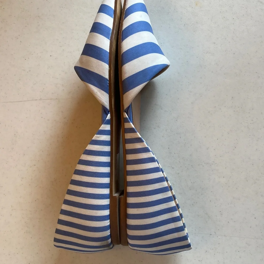 J. Crew Blue and White Striped Pointed D'Orsay Flats